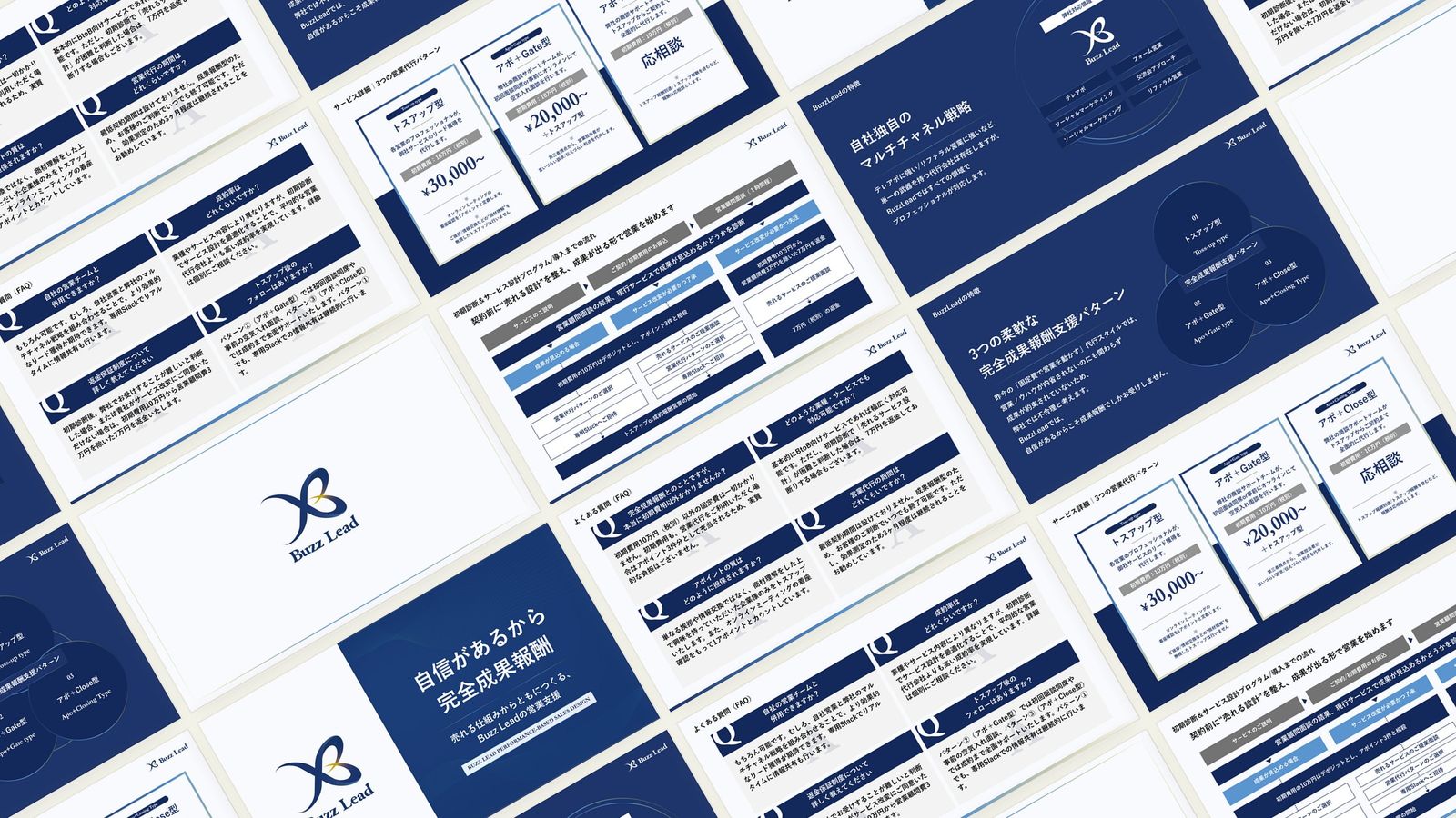 Buzz Lead 営業資料の誌面